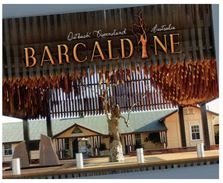 (20)  Australia - QLD - Barcaldine Tree Of Knowledge - Far North Queensland