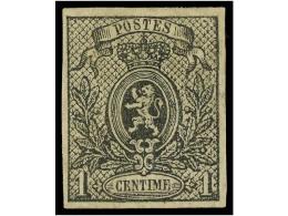 * BELGICA. Yv.22. 1866-67. 1 Cto. Grey Imperforate, Original Gum. Very Fine. Yvert.300€. - Autres & Non Classés