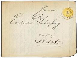 AUSTRIA. Mi.24. 1864. SISSK To TRIEST. 2 Kr. Yellow, Printed Matter Rate. - Otros & Sin Clasificación