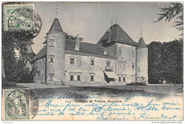 74.  DOUVAINE.  CHÂTEAU DE TROCHE.  GROS PLAN.  1903.  DOS NON DIVISE. - Douvaine