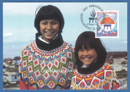 GREENLAND 1993 MAXICARD (1)  INTERNATIONAL YEAR INDIGENOUS PEOPLES  FACIT 230 - Cartoline Maximum