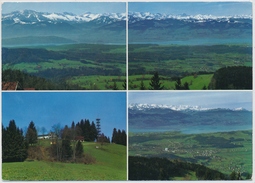 1970 - Bachtel-Kulm - Die Rigi Des Zürcher Oberlandes - Gestempelt Wernetshausen - Gelaufen - Hausen Am Albis 