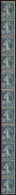 N° 1 8 30c Bleu Bde Verticale De 11t (1er Timbre * Et Rouillé)  Qualité: ** Cote: 4800  - Other & Unclassified