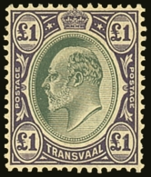 TRANSVAAL  1903 £1 Green And Violet, Ed VII, SG 258, Very Fine And Fresh Mint. Lovely Stamp. For More... - Sin Clasificación