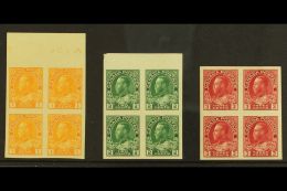 1922-31  1c Chrome, 2c Deep Green And 3c Carmine In Imperf Pairs, SG 259/61, As Very Fine  Mint Blocks Of 4, 2... - Mauricio (...-1967)