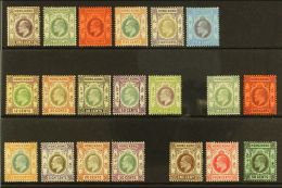 1903-11 KEVII MINT SELECTION  Presented On A Stock Card. Includes 1903 CA Watermark Set To $1, 1904-06 MCA... - Other & Unclassified