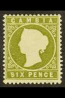 1886-93  6d Yellowish Olive-green, SG 32, Very Fine Mint. For More Images, Please Visit... - Gambia (...-1964)