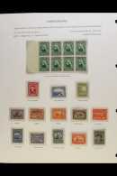 1887 - 1933 SUPERB MINT ONLY COLLECTION  Complete Sets In Mounts Written Up On Display Pages Including 1887... - Other & Unclassified