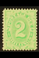 POSTAGE DUE  1902-04 2s Emerald-green Perf 11½,12, SG D20, Very Fine Mint, Fresh. For More Images, Please... - Sonstige & Ohne Zuordnung