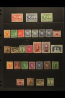 1936-49 VERY FINE MINT SELECTION  Presented On A Stock Page. Includes 1936 South Australia Centenary Set, Defins... - Altri & Non Classificati