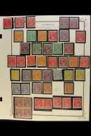 1913 TO 1936 ROO's AND HEADS MINT COLLECTION.  A Brilliantly Fresh Mint Collection On Album Pages, Many... - Andere & Zonder Classificatie