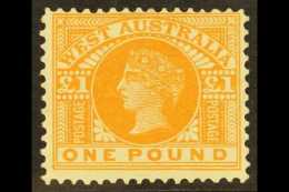 WESTERN AUSTRALIA  1902-11 £1 Orange, SG 128a, Fine Mint, Fresh & A Very Scarce Shade. For More Images,... - Otros & Sin Clasificación