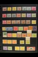 WESTERN AUSTRALIA  1882-1912 FINE MINT COLLECTION Presented On A Stock Page. Includes 1882-85 3d, 1884 Both Perf... - Other & Unclassified