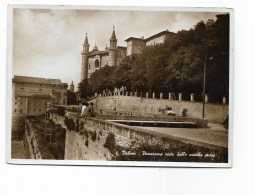 URBINO PANORAMA VISTO DALLE ANTICHE MURA NV FG - Urbino