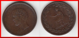 **** GRANDE-BRETAGNE - GREAT-BRITAIN - BRITISH COPPER COMPANY BRUTUS HALF-PENNY TOKEN **** EN ACHAT IMMEDIAT !!! - Professionals/Firms