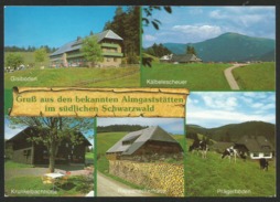 SCHWARZWALD Almgaststätten Gisiboden Kälbelescheuer Krunkelbachhütte Rappeneckerhütte Prägerböden Todtnau 1989 - Todtnau