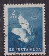 Italy Trieste B Yugoslav Occupation S 25 1950 Domestic Animals 2d Azur Used - Gebraucht