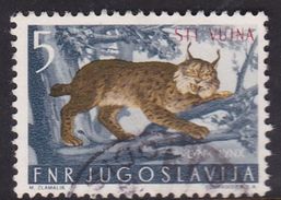 Italy Trieste B Yugoslav Occupation S 102 1954 Animals  5d Grey And Brown Used - Used