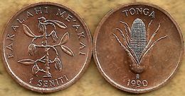 TONGA 1 SENITI FOOD PLANT FRONT & BACK  FAO 1990 VF KM? READ DESCRIPTION CAREFULLY !!! - Tonga