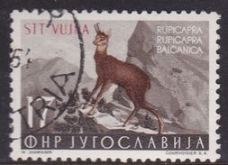 Italy Trieste B Yugoslav Occupation S 105 1954 Animals  5d Capra Grey And Brown Used - Used