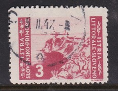 Istria Yugoslav Occupation S 65 1946  3 L Pink Used - Occup. Iugoslava: Litorale Sloveno