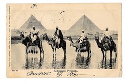 (15901-00) Egypte - Bedouwins Pyramids - Bedouins - Pyramids