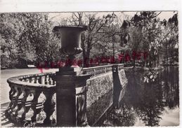 87 - NIEUL - UNE ALLEE AU BORD DU LAC - CHATEAU  - ARTAUD N° 10 - Nieul