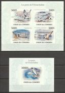 Comores 2010, Animals, Birds Of Indian Ocean Region, 4val In BF +BF IMPERFORATED - Albatros