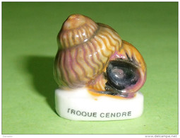 Fèves / Animaux / Poissons / Coquillages : Poisson, Coquillage, Troque Cendré    TB111 - Animaux