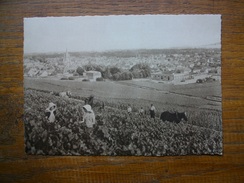 Ay , Champagne Pommery & Greno - Reims , Ay , Vue Générale , Premier Cru De Raisins Noirs - Ay En Champagne