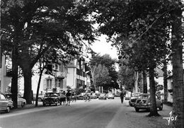 56-CARNAC- AVENUE DES DRUIDES - Carnac