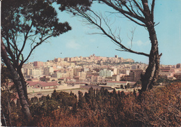 CAGLIARI PANORAMA 1963 - Cagliari