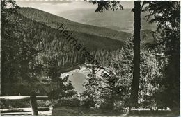 Huzenbach - Huzenbachsee - Foto-AK - Verlag A. Hermann & Co. Stuttgart - Baiersbronn