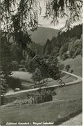 Huzenbach - Seebachtal - Foto-AK - Verlag A. Hermann & Co. Stuttgart - Baiersbronn