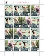 Sierra Leone. 2017 WWF - Lesser Flamingo. (520d) Sheet Of 4 Sets - Flamingo