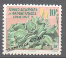 TAAF French Southern And Antarctic Territories 1958 Yvert 11, Flora - MNH - Ungebraucht