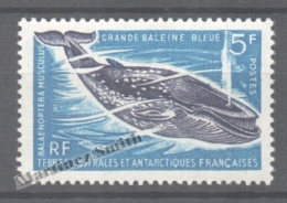 TAAF French Southern And Antarctic Territories 1966 Yvert 22, Marine Fauna - MNH - Ungebraucht