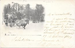76 - LE HAVRE - 171 - La Voitures Aux Chèvres Du Square Saint-Roch - Circulé 1902 - Dos Simple - - Square Saint-Roch
