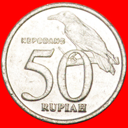 * BIRD: INDONESIA ★ 50 RUPIAH 1999 MINT LUSTRE! LOW START★ NO RESERVE! - Indonésie