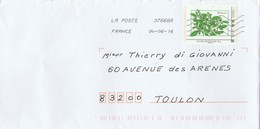 France Collector Oblitéré "Dites-le Avec Des Graines " - Basilic Sur Lettre Entiere - Lettres & Documents