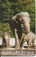 éléphant Elephant Animal Télécarte 5000 Ex Allemagne Phonecard Karte (S.379) - A + AD-Series : Werbekarten Der Dt. Telekom AG