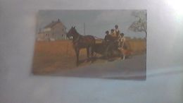 Les Amish - Autres & Non Classés
