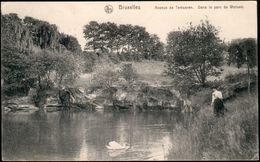 Woluwé : Avenue De Tervueren : Dans Le Parc De Woluwé - St-Lambrechts-Woluwe - Woluwe-St-Lambert