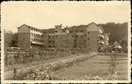 Woluwé : Institut Des Dames Hospitalières Du Sacré-Coeur - Woluwe-St-Pierre - St-Pieters-Woluwe