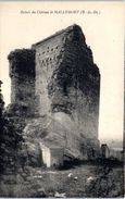 13 - MALLEMORT --  Ruines Du Château - Mallemort