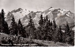 Wasserngrat. Blick Gegen Gstellhorn U. Oldenhorn / Gstaad - Gstaad