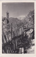 Kirche St. Katherina - Hafling Bei Meran (188) * 19. 7. 1954 - Merano