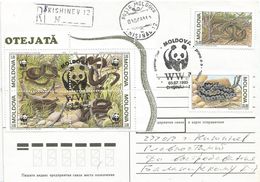 Moldova 1993 Chisinau WWF Snake Registered FDC Cover - Covers & Documents