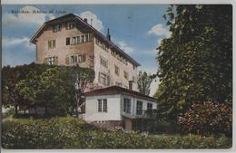 Wetzikon - Schloss Mit Linde - Wetzikon