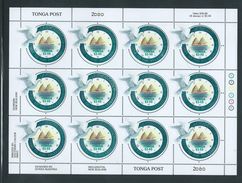 Tonga 2000 Millennium Clock & Dove $2.50 Value X 12 Full Sheets With Margins And Imprints MNH - Tonga (1970-...)